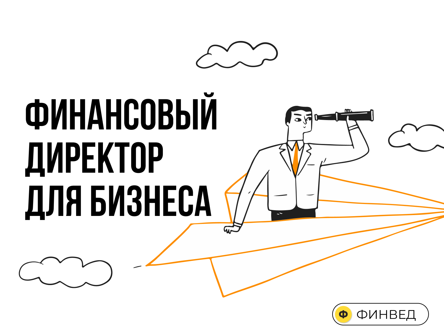 Финансовый директор (CFO) - обязаности и функции, чем занимается финдир